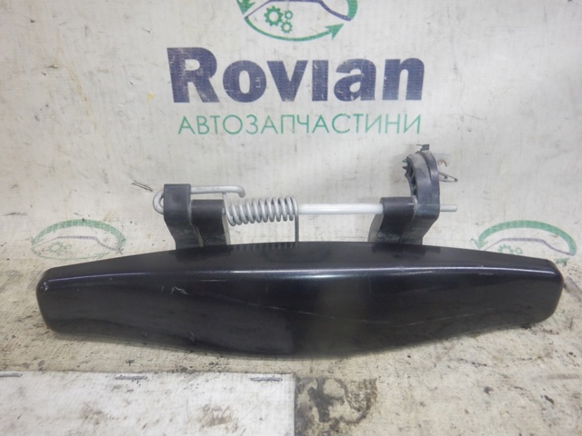 Ручка двері в зборі 806079755R RENAULT