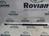 Амортизатор задньої ляди 817713E020 HYUNDAI