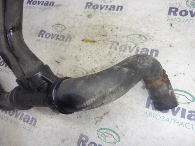 Шланг/патрубок радіатора охолодження, нижній 8200233972 RENAULT