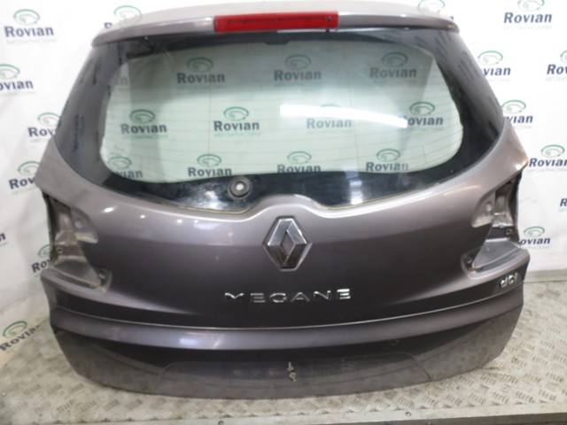 Задні двері багажника 901008394R RENAULT