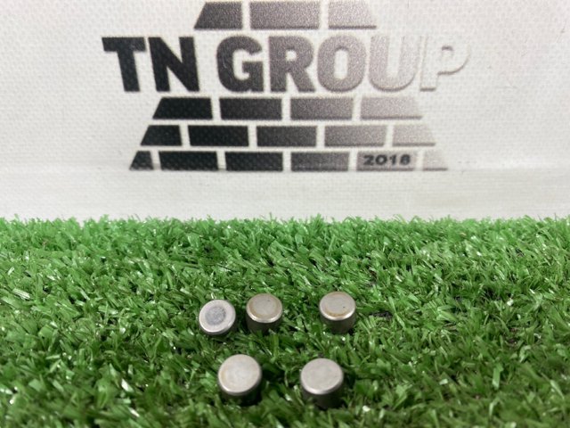 Сальник клапана (маслознімний), впуск/випуск 1371675020 TOYOTA