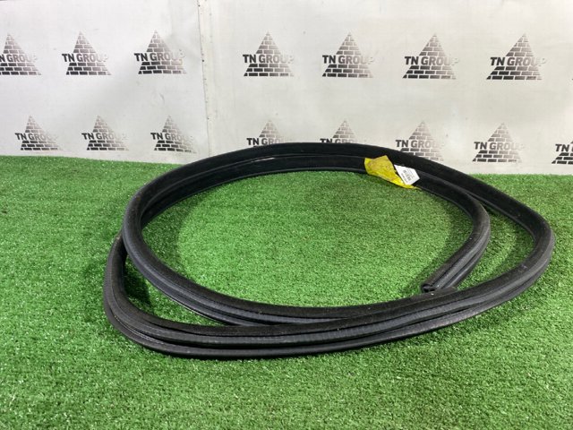 Ущільнювач двері задньої (на кузові) 51727289689 BMW