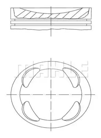 Поршня на 1 циліндр, STD 081PI00104000 MAHLE