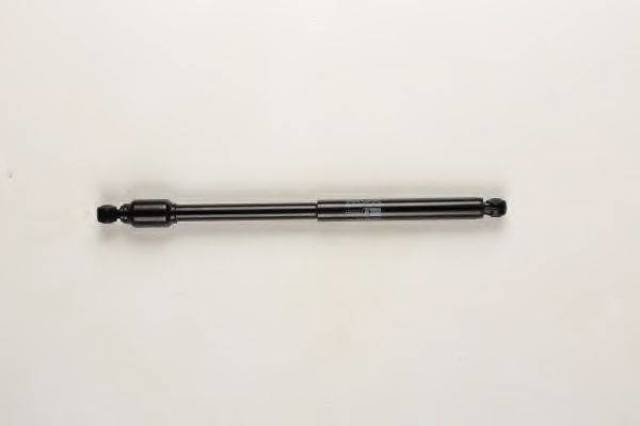 Амортизатор-демпфер рульового механізму 18002461 BILSTEIN