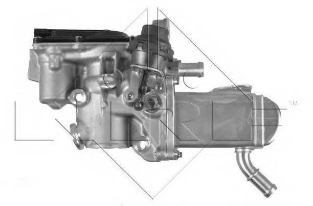 Клапан EGR рециркуляції газів 48207 NRF