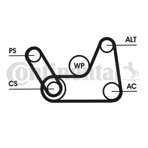 Ремінь приводний, агрегатів, комплект 6PK1019ELASTT1 CONTINENTAL