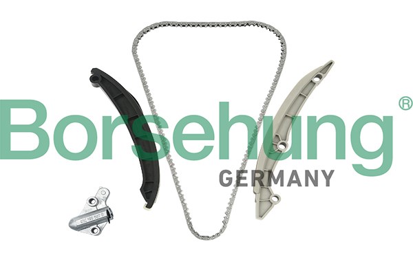 Ланцюг ГРМ, комплект B18982 BORSEHUNG