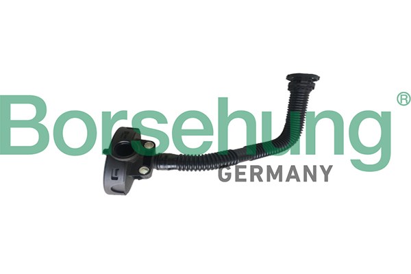 Клапан ВКГ B19055 BORSEHUNG