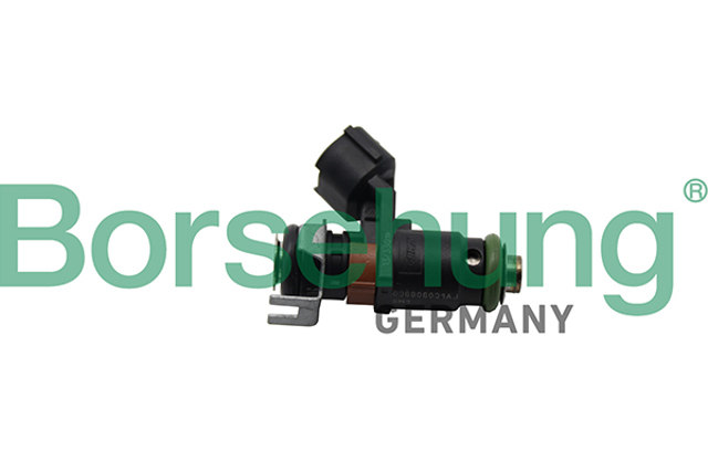 Форсунка паливна B19238 BORSEHUNG