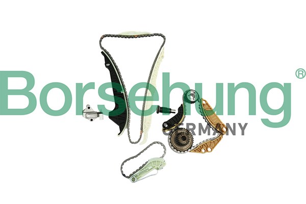 Ланцюг ГРМ, комплект B19254 BORSEHUNG