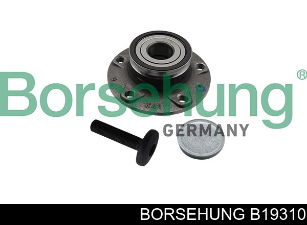 Маточина заднього колеса B19310 BORSEHUNG