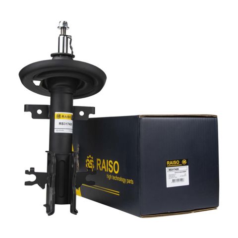 Амортизатори передні RS317420 RAISO
