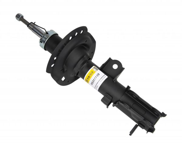 Амортизатор передньої підвіски RS317709 RAISO