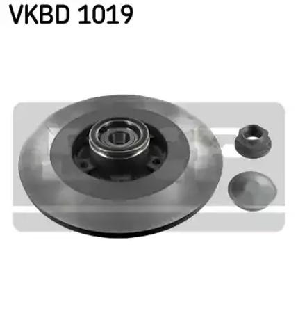 Задні дискові гальма VKBD1019 SKF