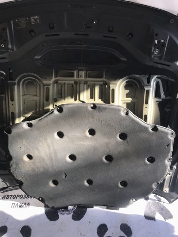 Ізоляція моторного відсіку 51486989300 BMW
