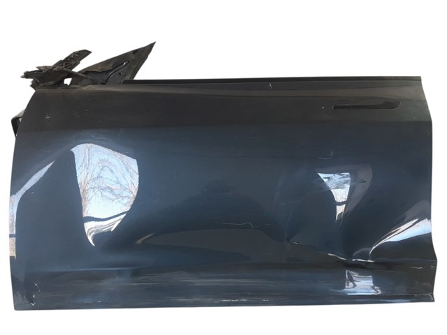 Двері кабіни 1081421E0C TESLA