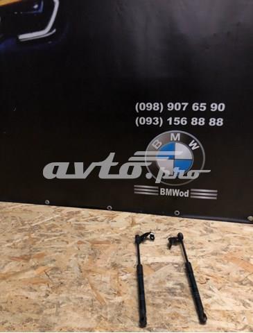 Стійка капота 51237206644 BMW