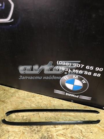 Правий молдинг вітрового скла 51317250396 BMW