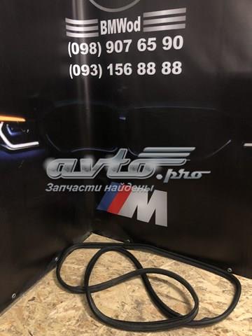 Ущільнювач дверей передніх, лівих (на двері) 51767301846 BMW