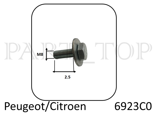 Комплект ГРМ 6923C0 PEUGEOT