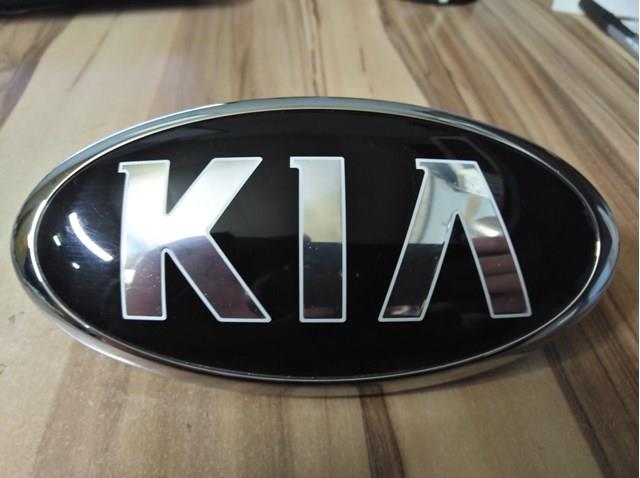 Фірмовий значок решітки радіатора 863202P560 HYUNDAI