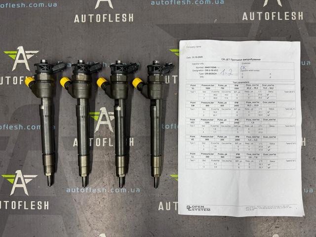 Форсунка дизельна в зборі, розпилювач + тримач 0445110546 RENAULT