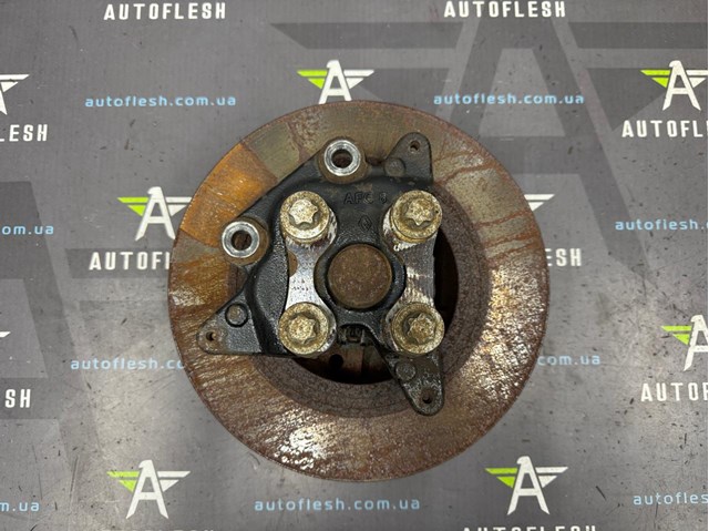 Цапфа - поворотний кулак задній, правий 430186431R RENAULT