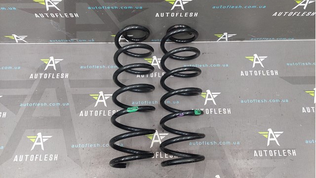 Пружина задня 550200035R RENAULT