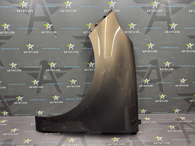 Бічна частина передня ліва 631017581R RENAULT