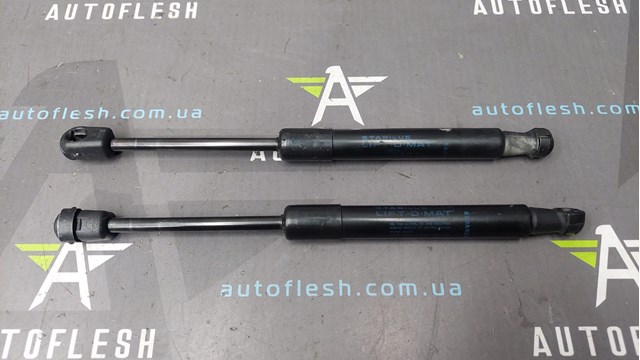 Упор капота Renault Scenic GRAND 3