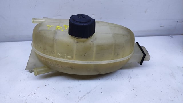 Бачок розширювальний 7700312900 RENAULT