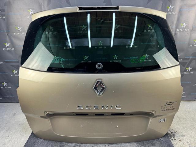 Двері багажника 901003854R RENAULT