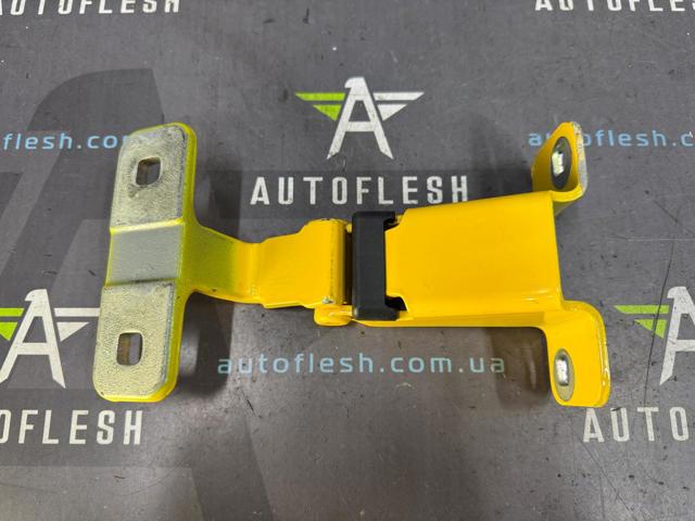 Петля дверей задньої (розпашної) 904000869R RENAULT