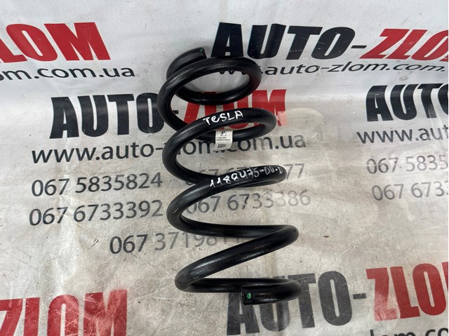 Пружини задні 118847500D TESLA
