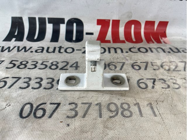 Петля задніх лівих дверей 149749400C TESLA