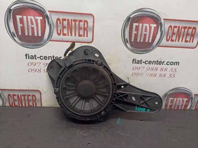 9809350880 Peugeot/Citroen