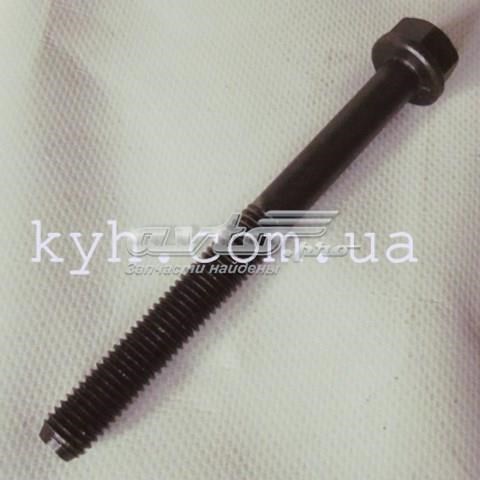 Болт головки блоку циліндрів, ГБЦ 252501159912 MARKET (OEM)