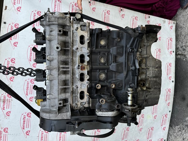 Мотор в зборі Fiat Linea