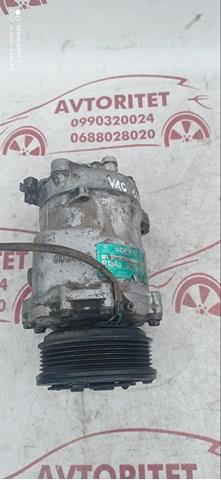 Компресор холодоагенту 6N0820803B VAG