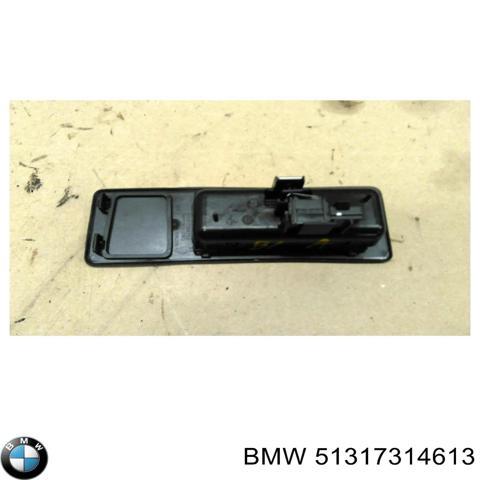 Вікно двері задка 51317314613 BMW