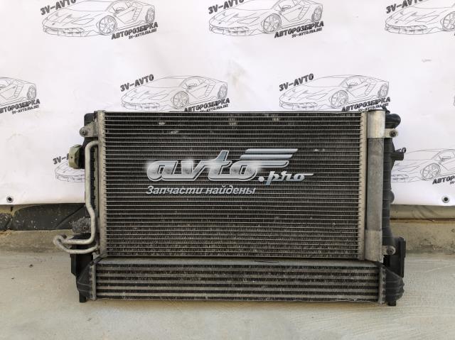 Радіатор водяний 6R0121253A VAG
