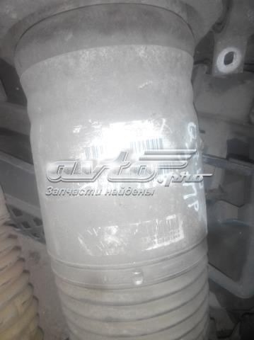Амортизатор задній, правий 7L8616020C VAG