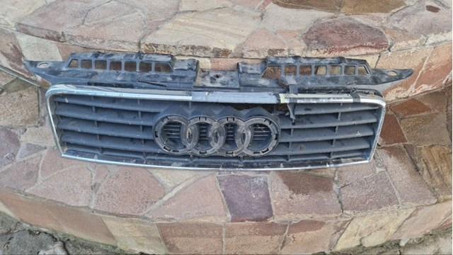 Захисна решітка радіатора 8P38536513FZ VAG