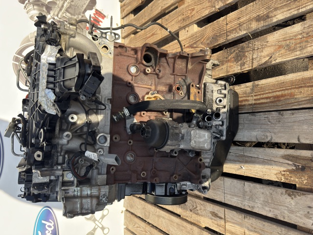 ГБЦ  двигуна 9688418110 FORD