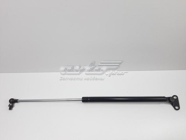 Амортизатор задньої ляди 5345029053 SENSEN