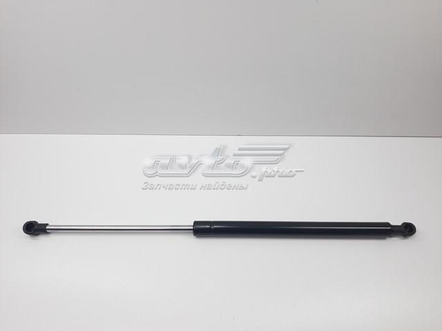 Амортизатор для багажника газовий 6895002091 SENSEN