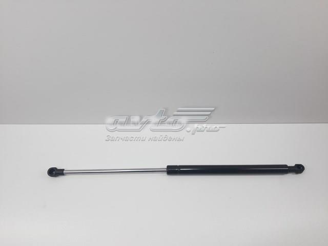 Амортизатор для багажника газовий 6895005050 SENSEN