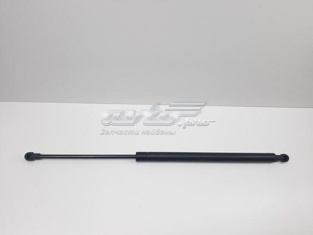 Амортизатор двері п'ятої 6896002010 SENSEN