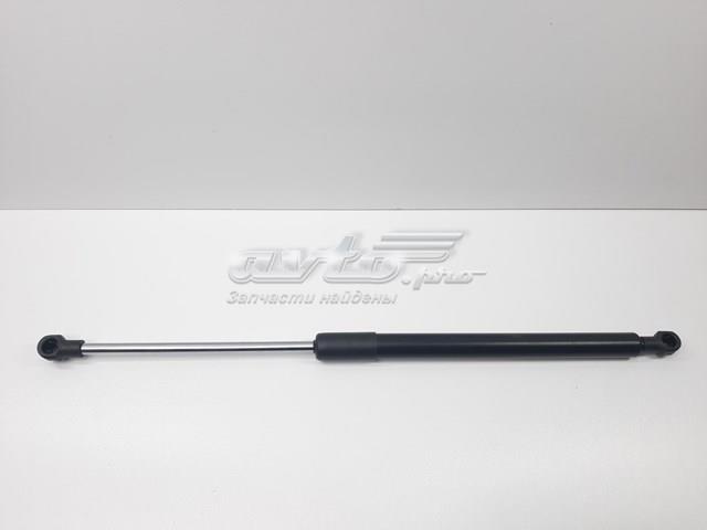 Амортизатор кришки багажника 6896002071 SENSEN