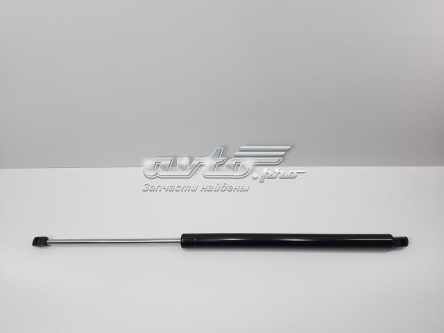 Стійка задніх дверей 701829331AB SENSEN